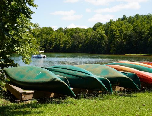Georgia State Parks