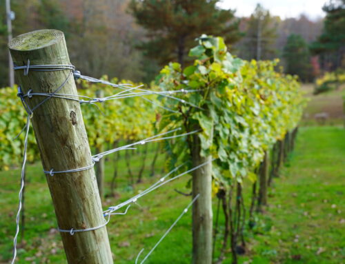 Visit Blue Ridge