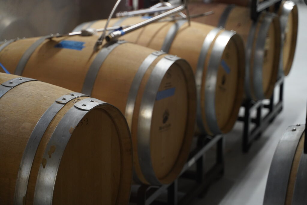 Bear Claw Vineyard 1