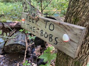 Constitution Lakes Dolls Head Trail